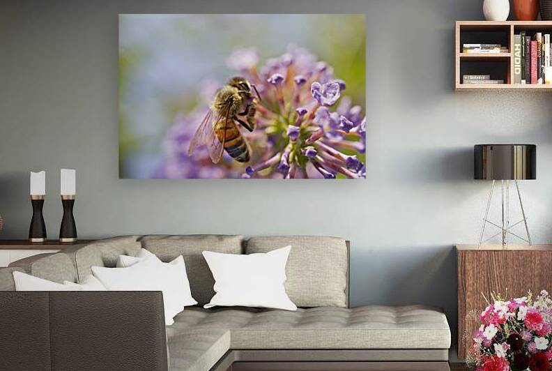 Honeybee Profile on Purple Flower by Iris H Richardson