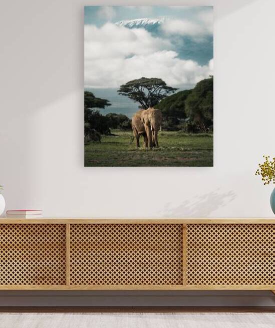 Giants of Amboseli by Ryan Wilkes