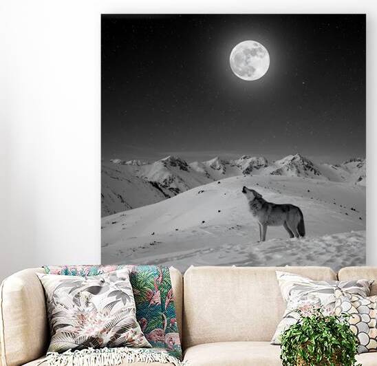 Midnight Howl by Roz art