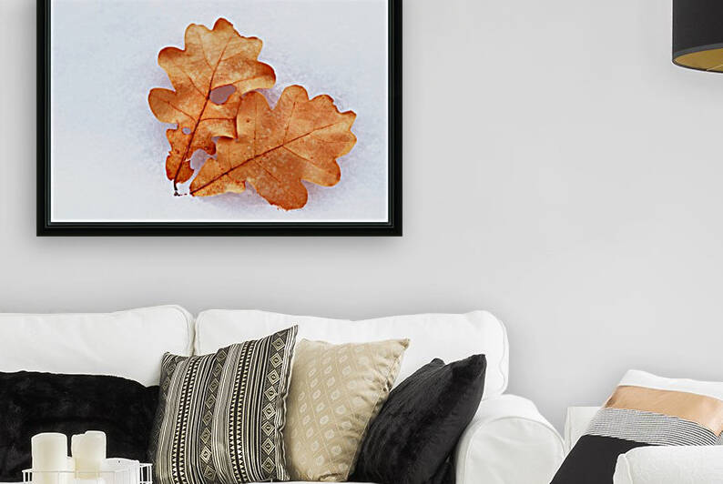 Oak Leaves On Snow by Deb Oppermann