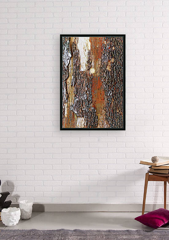 Colors Of Eastern Sycamore by Deb Oppermann