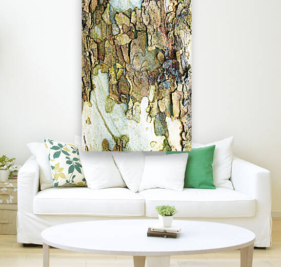 Colors Of Eastern Sycamore II by Deb Oppermann