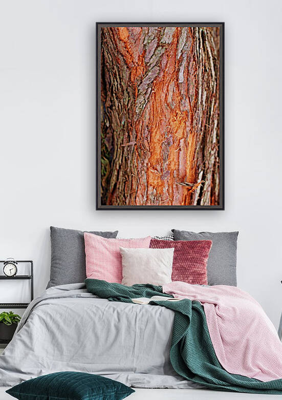 Dawn Redwood Bark Abstract by Deb Oppermann