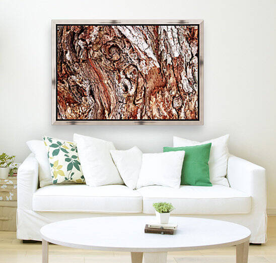 White Willow Bark  Abstract by Deb Oppermann