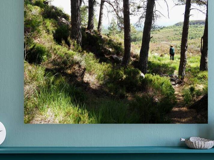  A Hill Top View in the Scottish Highlands                                                                                                                     by Catriona Roberts Nature Photography and Designs