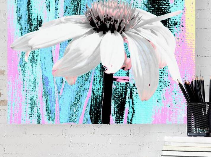 Vibrant Abstract Cone Flower by Catriona Roberts Nature Photography and Designs