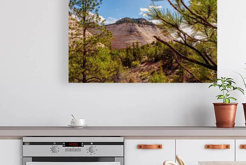 Zion Crazy Quilt Mesa by Jennifer White