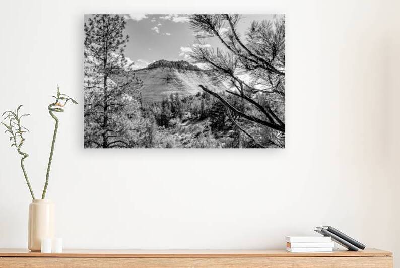 Zion Crazy Quilt Mesa Grayscale by Jennifer White