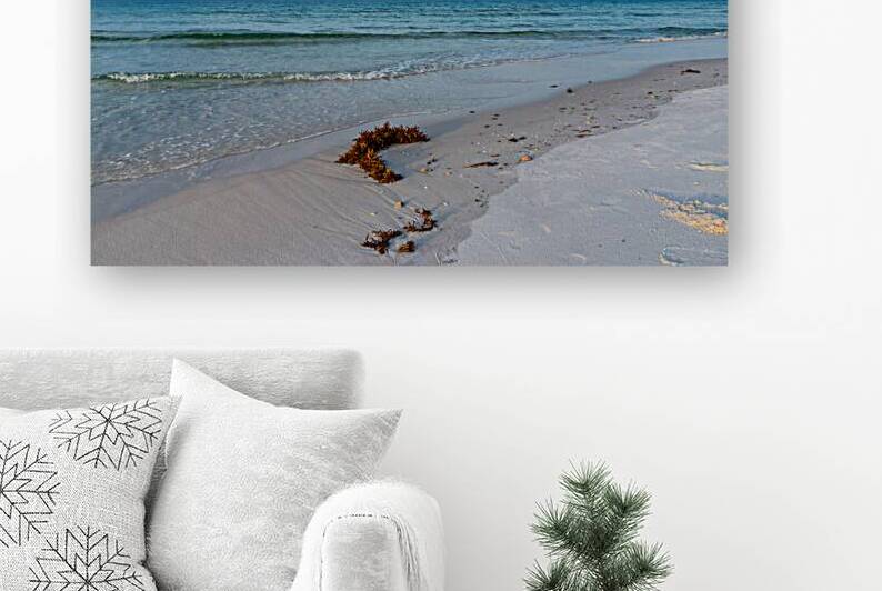 Seaweed On Emerald Coast by Jennifer White