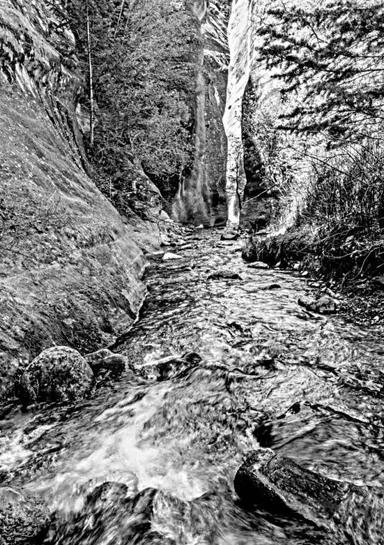 Kanarra Spring Creek Slot Canyon Grayscale by Jennifer White