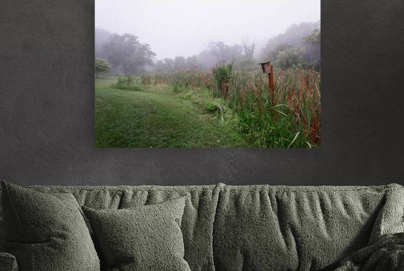 Birdhouse in the Cattails by Jason Fink