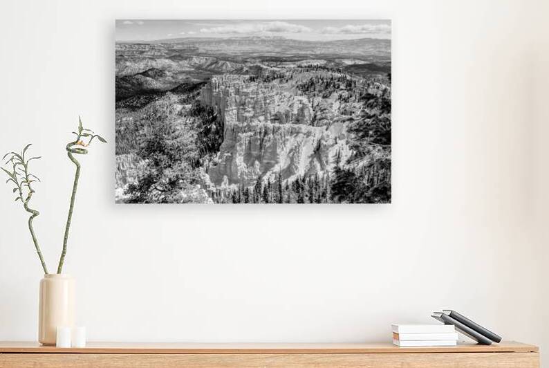 Bryce Canyon Rainbow Point Grayscale by Jennifer White