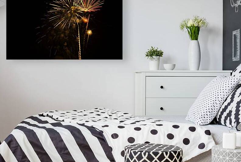 Firework 10 by Iris H Richardson