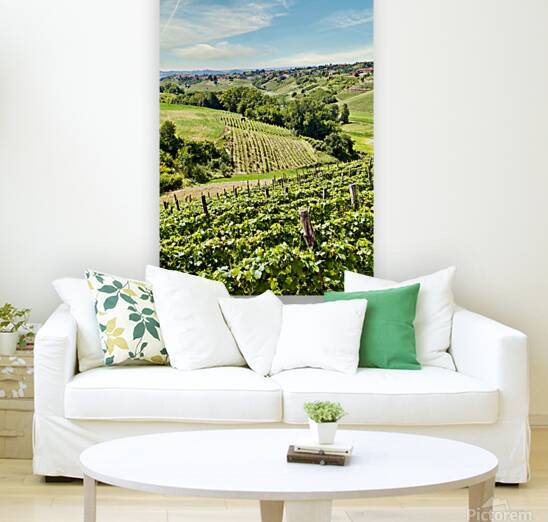 Italy Piedmont Region Langhe. Scenic wineyard close to Barbare by Paolo Modena