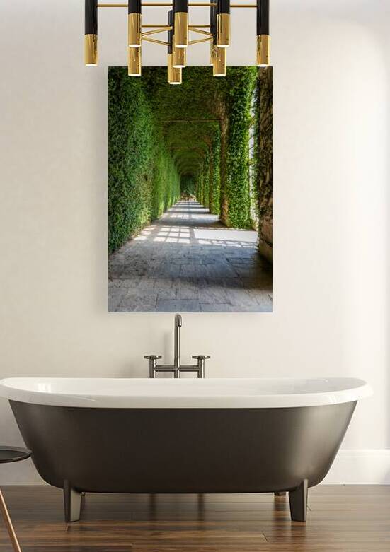 Greenhouse interior perspective with walls covered by ivy. Natur by Paolo Modena