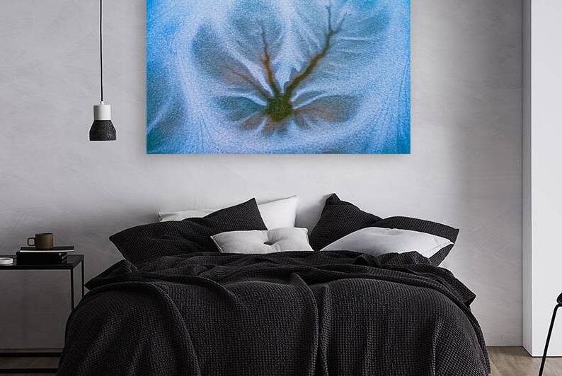 Winters Windowpane Arbor by Geoffrey Prior