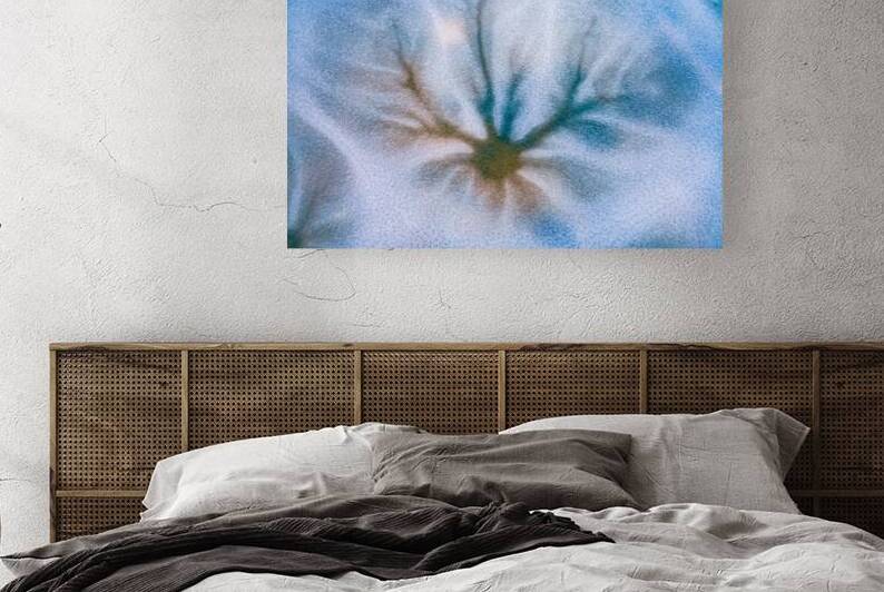 Frozen Dendritic Bloom by Geoffrey Prior