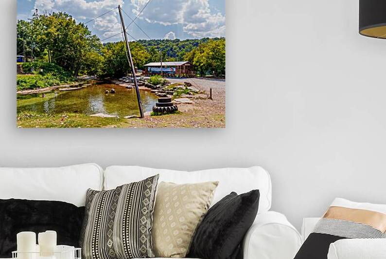 Rope Swing Big Spring Arkansas by Jennifer White