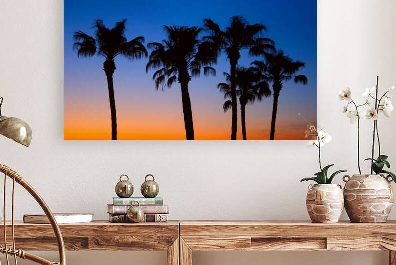 Palm Shadows Dancing in the Colors of Dusk by Bo Insogna