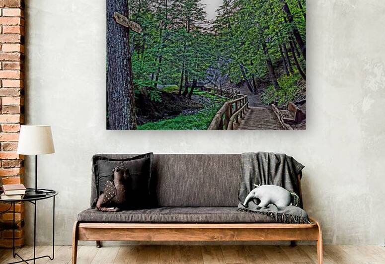 Clear Path Charmed Woods by Future Unmapped