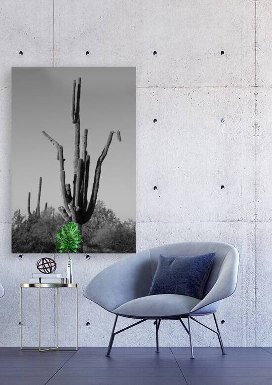 Weird Giant Saguaro Cactus in Black and White by Bo Insogna
