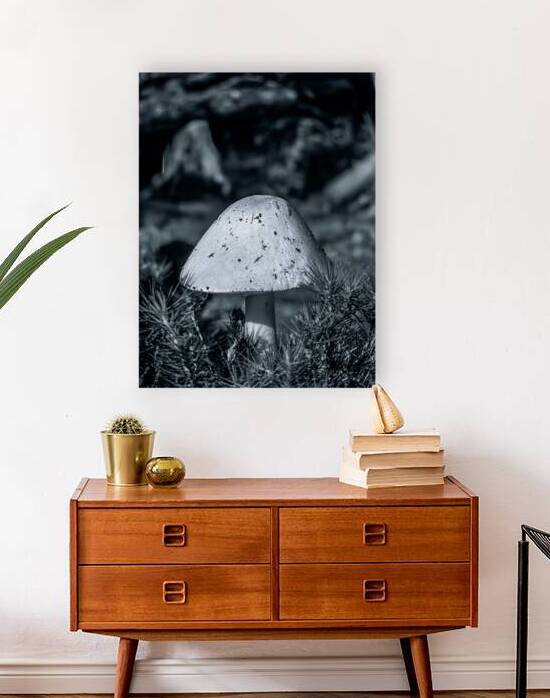 The Watcher by Blaine Stoner