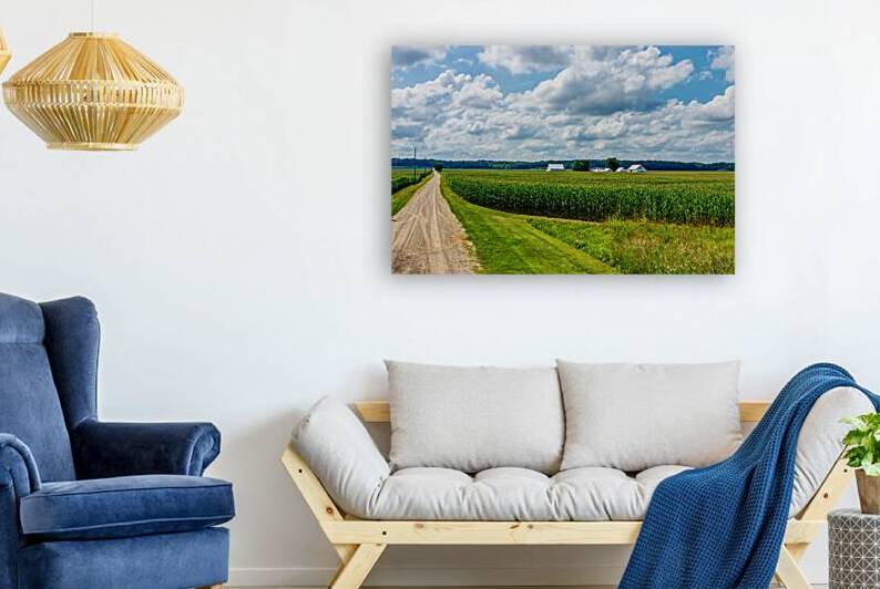 Indiana Corn Farm From McAllister Bridge by Jennifer White