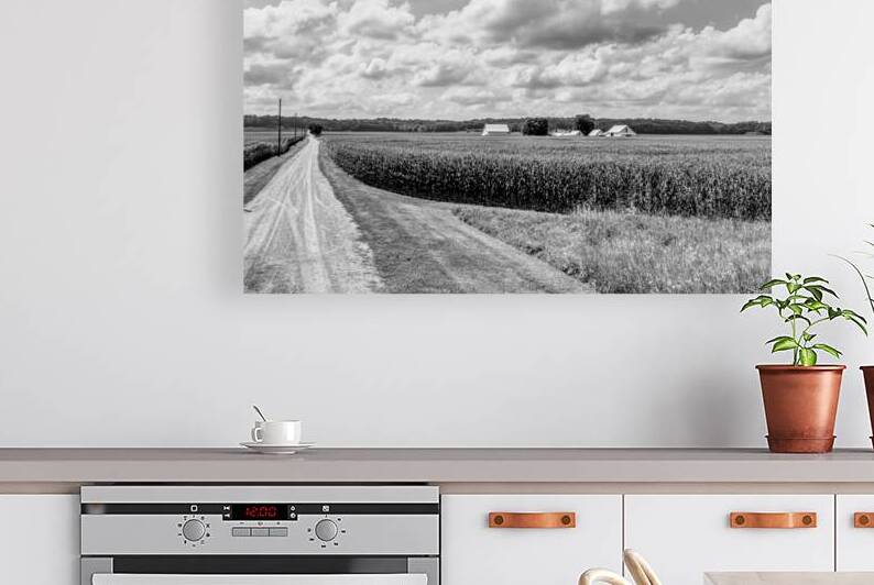 Indiana Corn Farm From McAllister Bridge Grayscale by Jennifer White