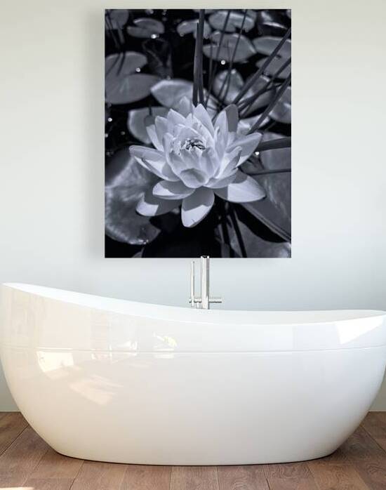 Silent Bloom  by Blaine Stoner