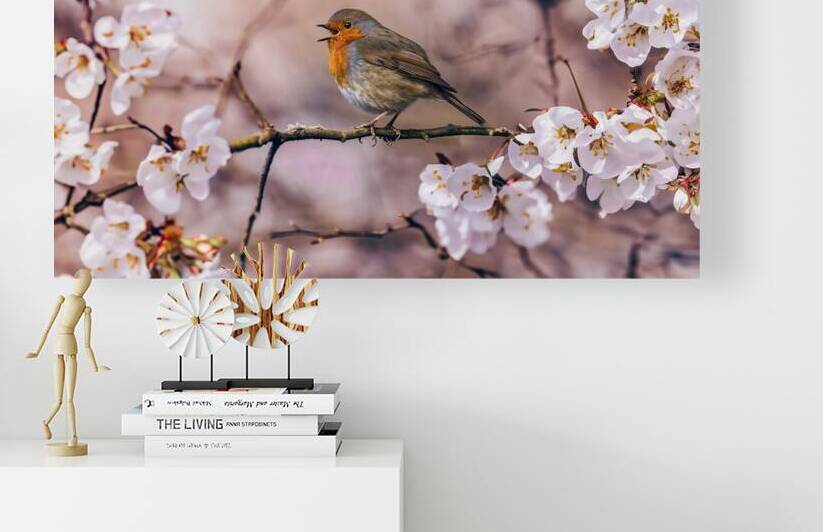  the spring by Marigold