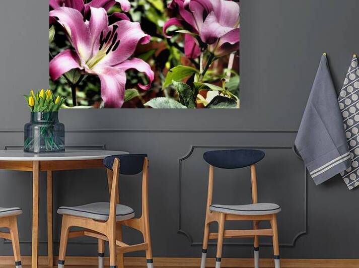  Pink Vibrant Lilies                                                                                                                     by Catriona Roberts Nature Photography and Designs