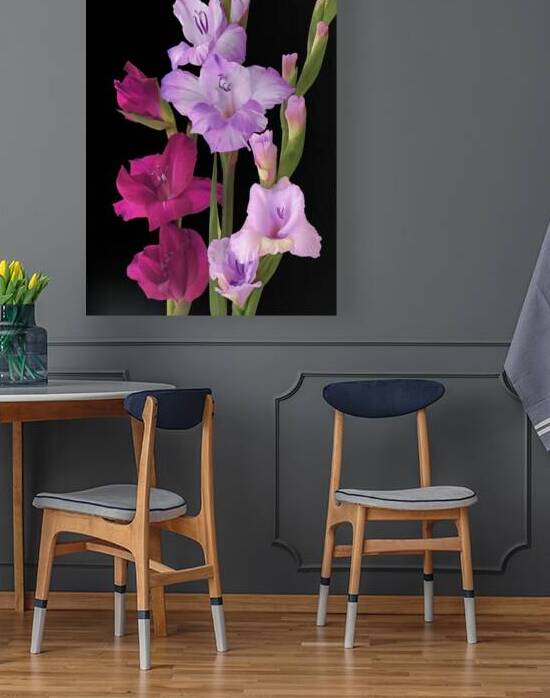 Cerise and Purple Gladioli On Black by Gill Billington