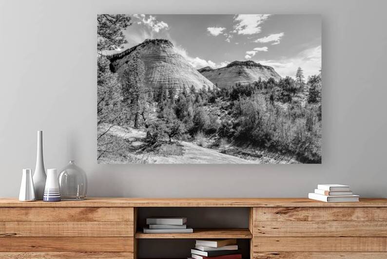 Checkerboard And Crazy Quilt Mesas Grayscale by Jennifer White