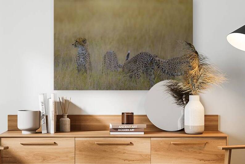 Cheetah 1264 by Robert Burnett