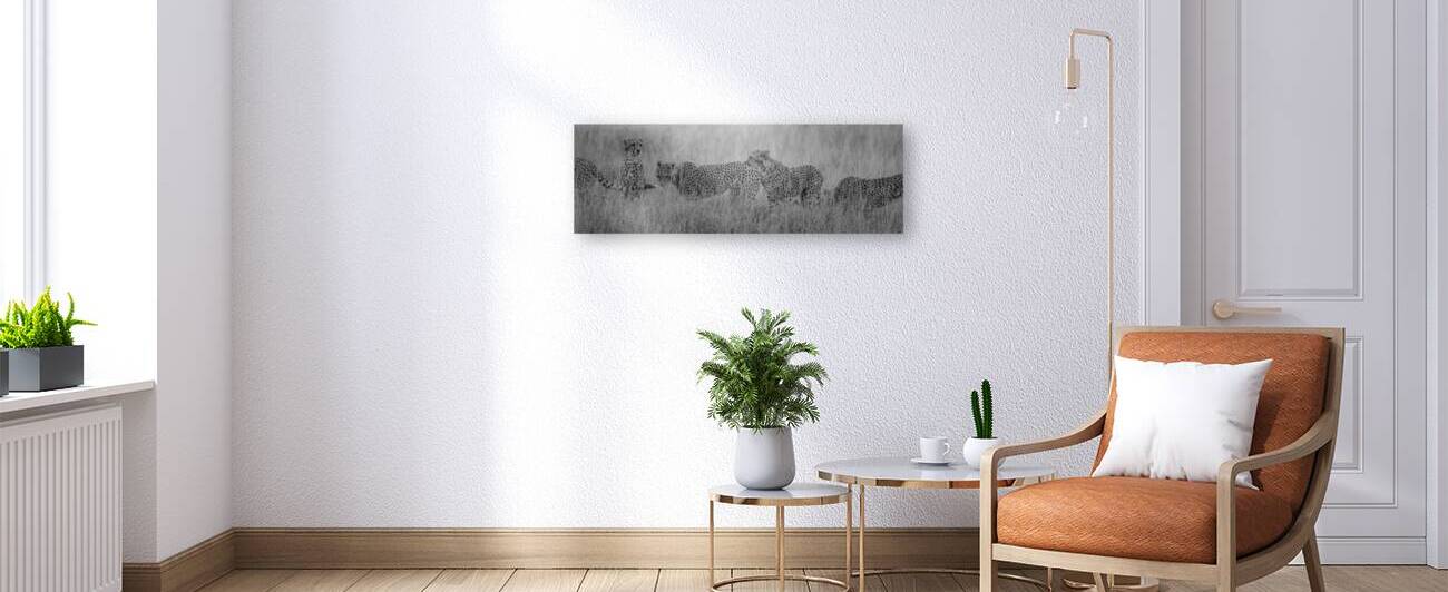 Cheetah 1261 by Robert Burnett