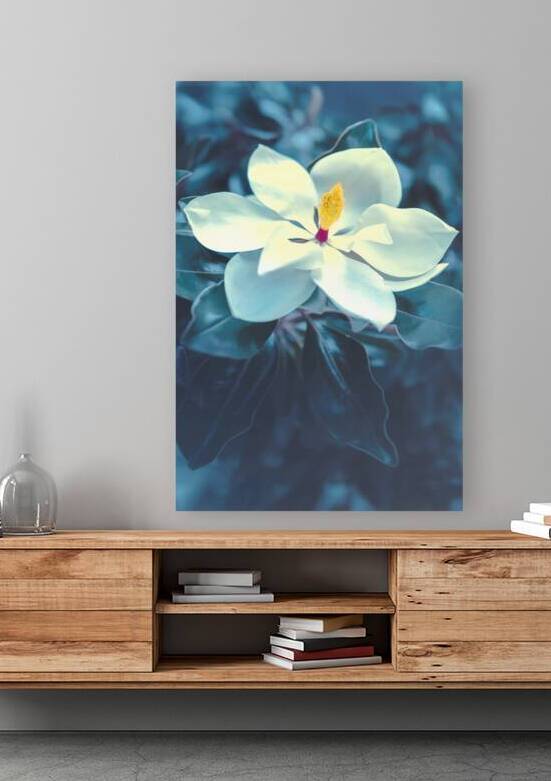 Sweet Southern Comfort by Greg Sarver Photography