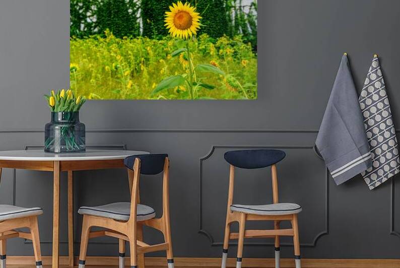 Bee On A Sunflower In The City by Jennifer White