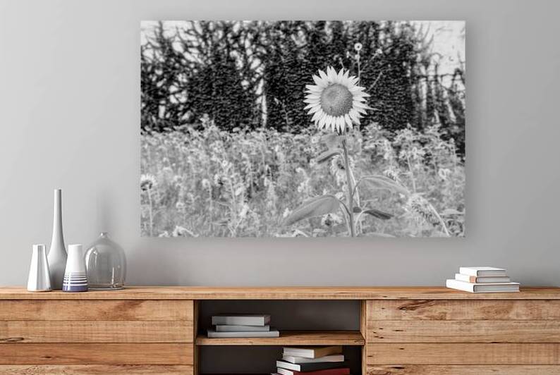 Bee On A Sunflower In The City Grayscale by Jennifer White