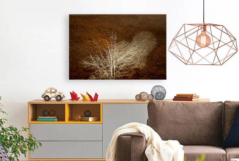 Charming White Tree Silhouette by Norma Brandsberg Photography