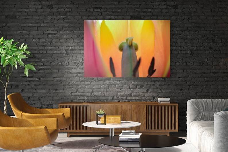 Chamber of Light by Bastian Alexander Coleman