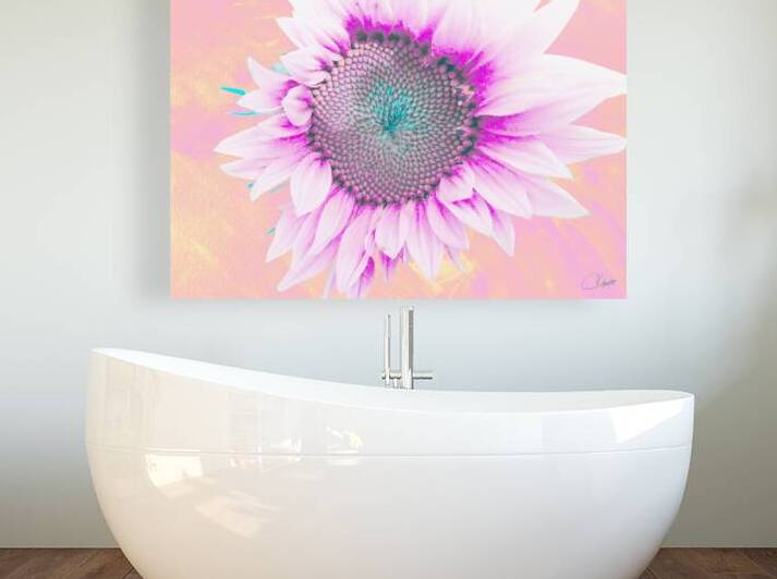 Sweet Pink Hibiscus Sunflower by Catriona Roberts Nature Photography and Designs