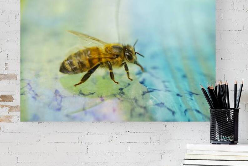 Honeybeen Drinking I by Iris H Richardson