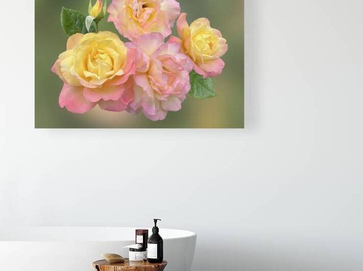 Showy Pink And Yellow Roses by Gill Billington