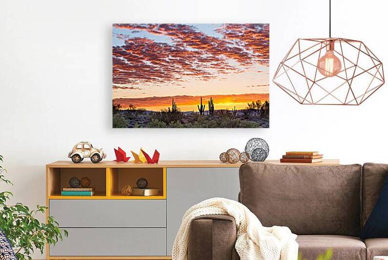 Colorful Sonoran Desert Sunrise by Bo Insogna