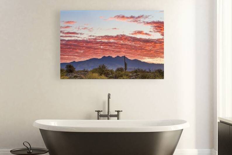 Arizona Four Peaks Mountain Colorful View by Bo Insogna