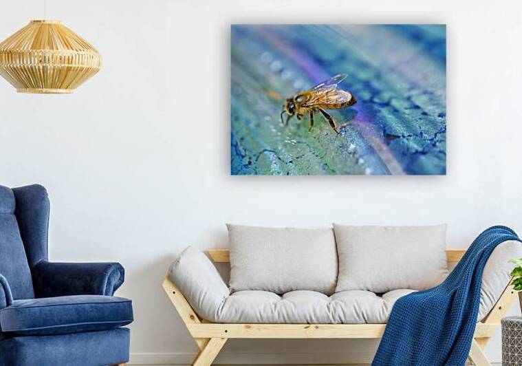 Honeybee on Drinking IV by Iris H Richardson