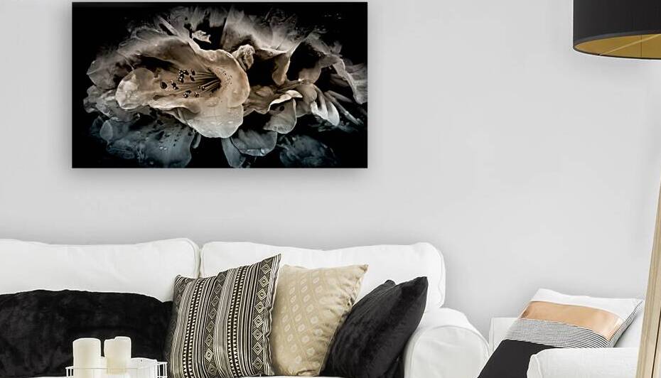 Smoky Azaleas by Blaine Stoner