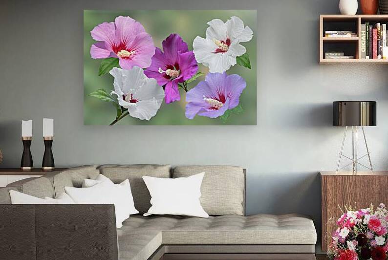 Pink And Purple Hibiscus Flowers by Gill Billington