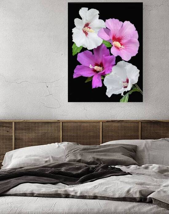 Pink And Purple Hibiscus Vertical On Black by Gill Billington