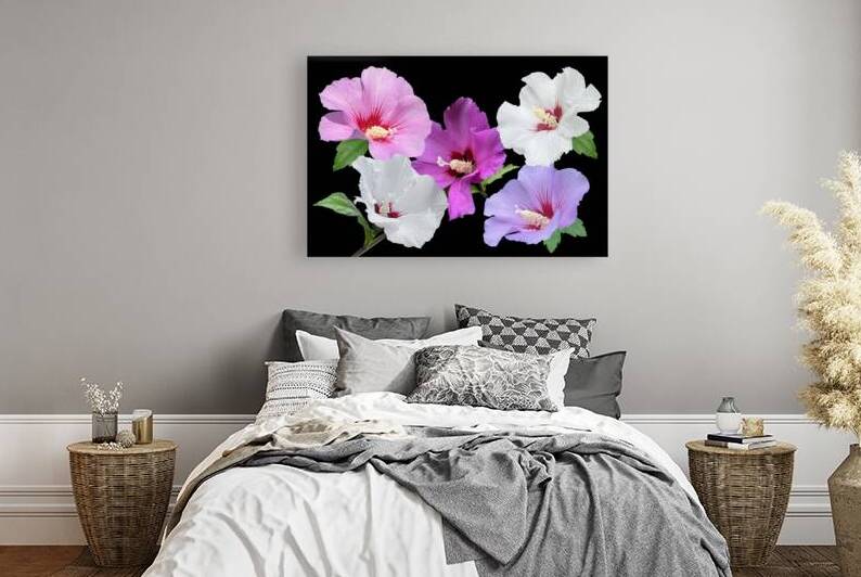 Pink And Purple Hibiscus On Black by Gill Billington